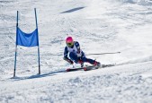 多米电子-大坂直美五赛季高光闪耀柏林，德国球迷激情沸腾